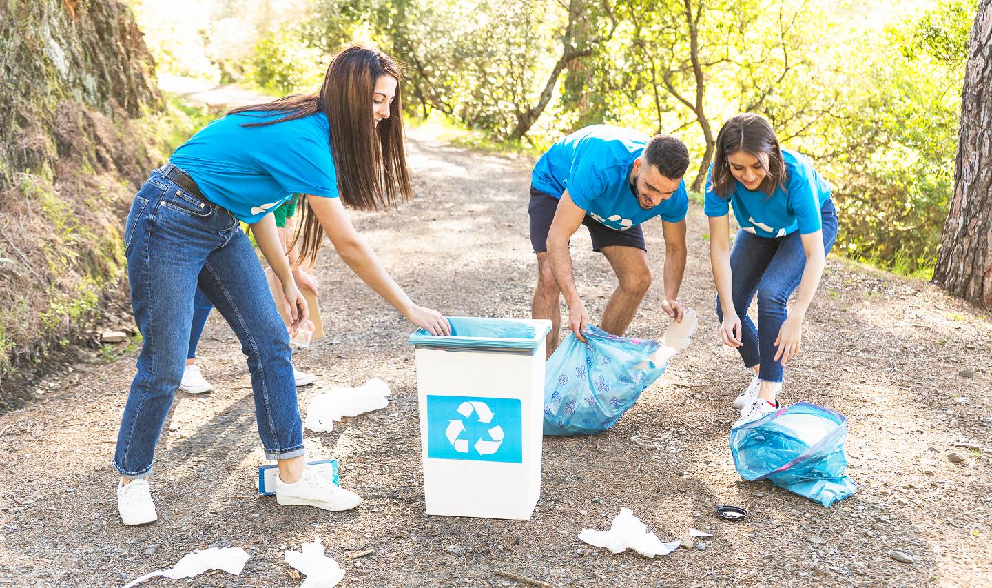 article display_image