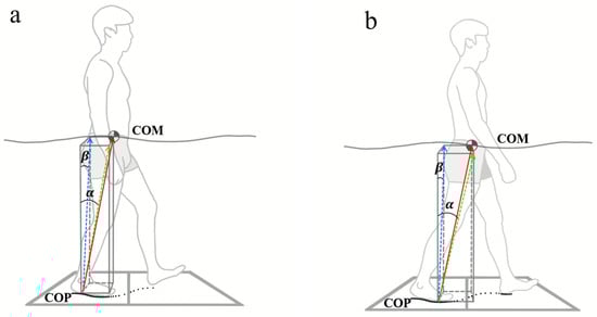 article display_image